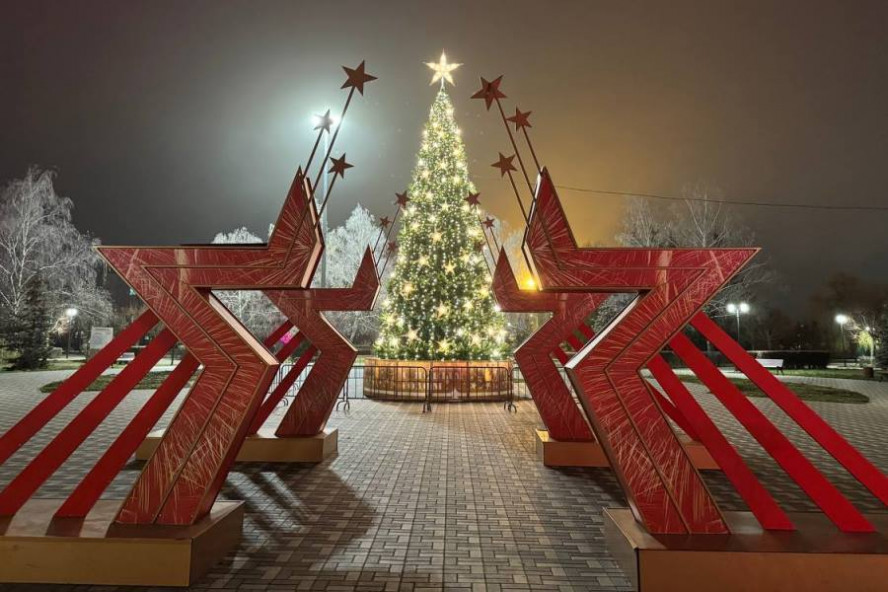Итоги дня: возмещение вреда почвам, разборка понтонного моста, новогодняя ель в Парке Победы
