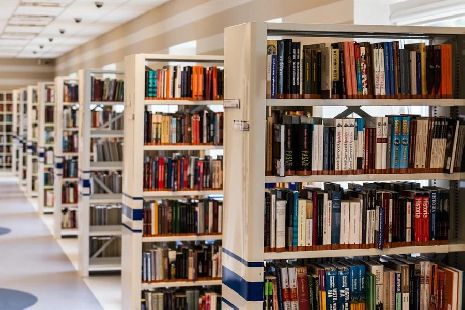 Две библиотеки Тамбовской области получат 15 млн рублей на модернизацию