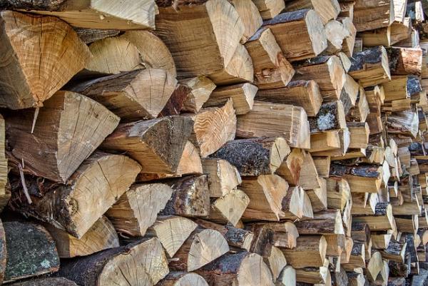 Для 163 почтовых отделений Тамбовской области закупают дрова