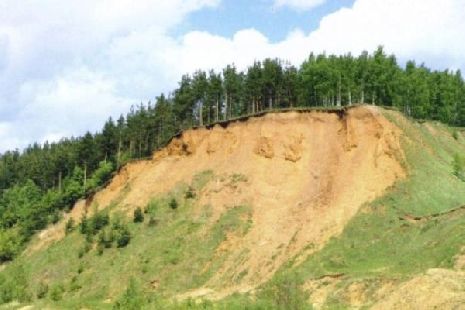 В Тамбовской области исследуют 7 геологических памятников