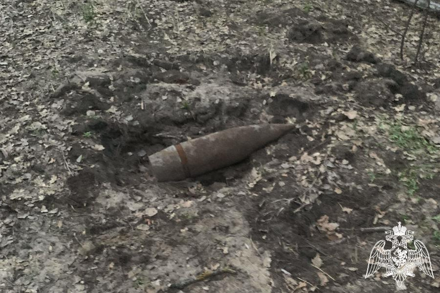 В лесополосе под Котовском нашли артиллерийский снаряд