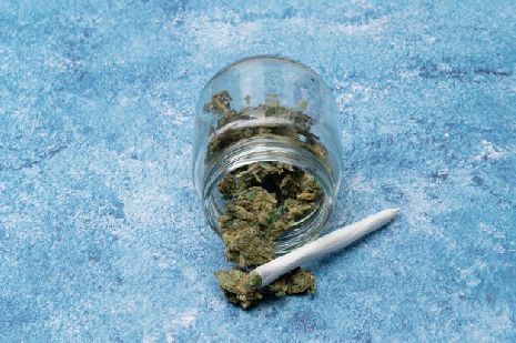В аэропорту Тамбова у пассажирки нашли марихуану