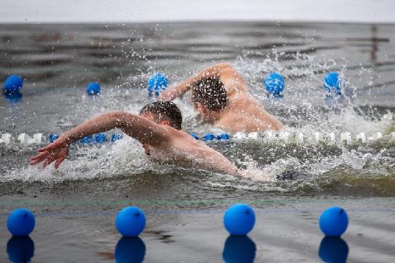 Тамбовские "моржи" привезли с чемпионата по зимнему плаванию 16 медалей