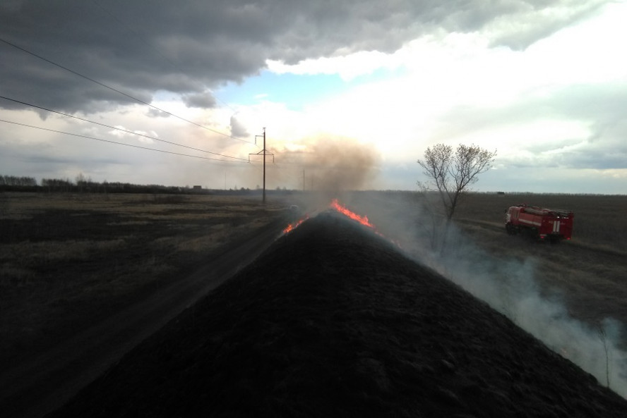 В Тамбовской области проводят работу по предотвращению выжигания сухой растительности