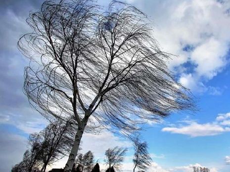 В Тамбовской области ожидаются грозы и усиление ветра