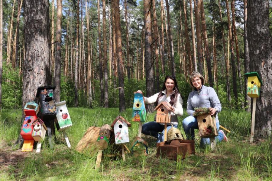 В Тамбовской области подвели итоги экологического конкурса "Лучший скворечник"