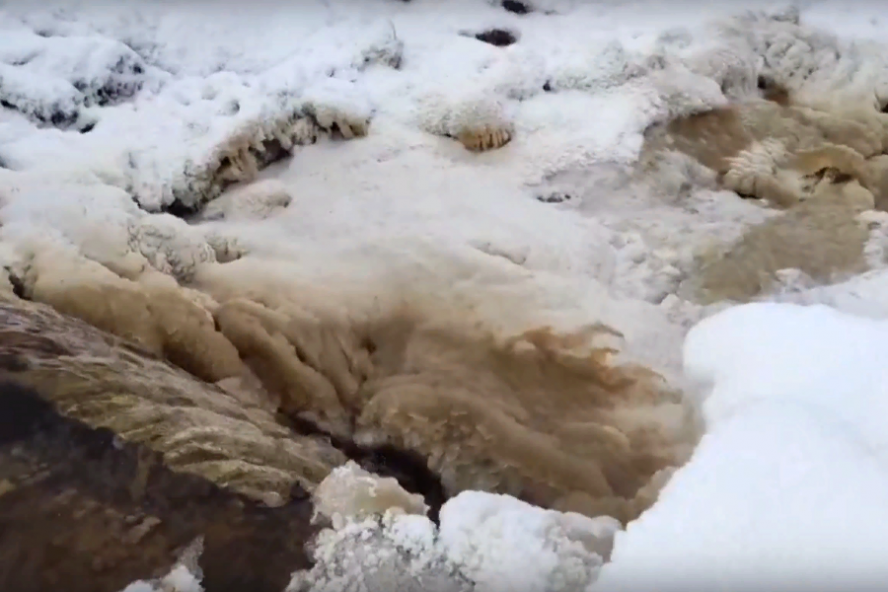 В реке Царёвка, куда стекали сточные воды от сахарного завода, выявлено 118-кратное превышение аммония