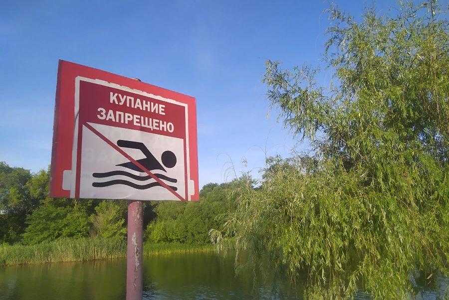 Роспотребнадзор запретил купаться на четырёх пляжах Тамбова