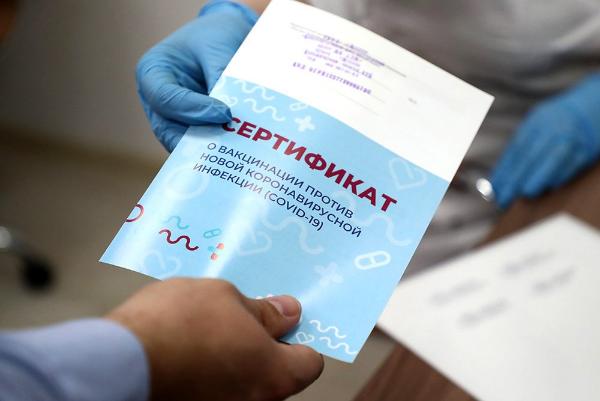 В Тамбовской области возбудили более 20 уголовных дел по фактам выдачи поддельных сертификатов о вакцинации