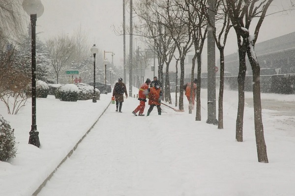 Синоптики о погоде: Тамбовскую область ждёт неделя снегопадов и метелей