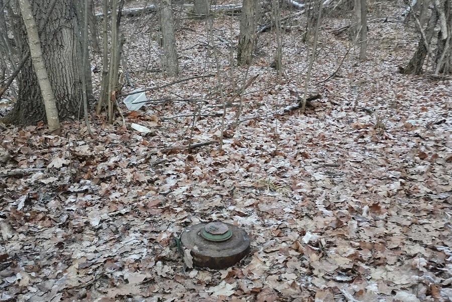 Под Тамбовом жители обнаружили танковую мину