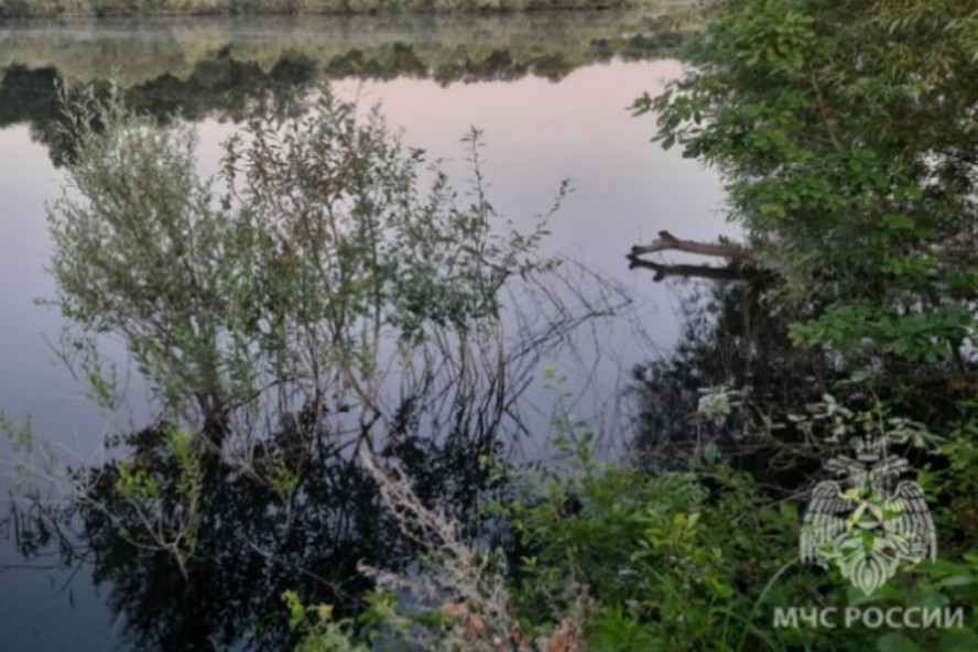 Из тамбовского пруда достали тело погибшего 43-летнего мужчины