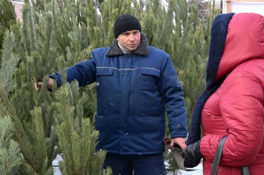 В Тамбове с 15 декабря начнут продавать новогодние елки: названы адреса базаров