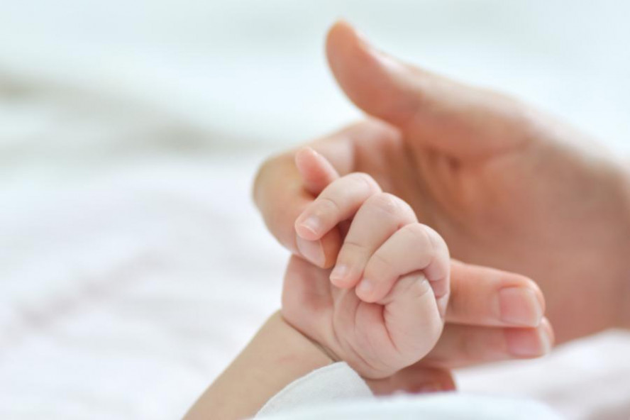 Установление генетического родства при суррогатном материнстве сделают в России обязательным