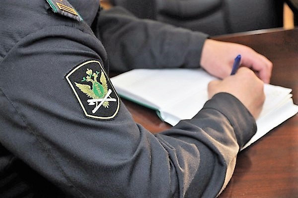 В Мучкапском районе мужчина оплатил штраф после запрета регистрационных действий