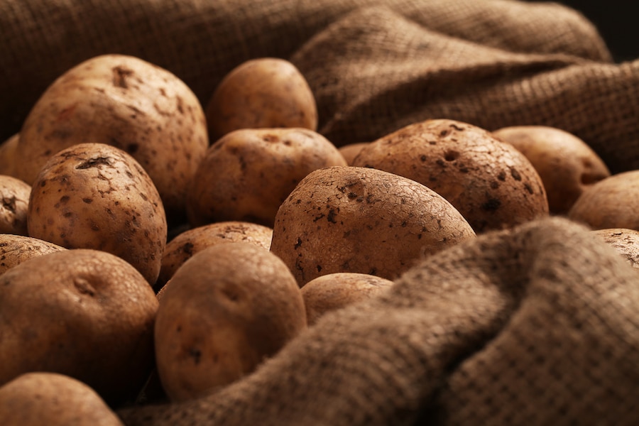 Дачных картофельных плантаций у жителей Тамбовской области в этом году будет больше