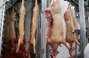 Убойное и мясоперерабатывающее производство в селе Борщевка