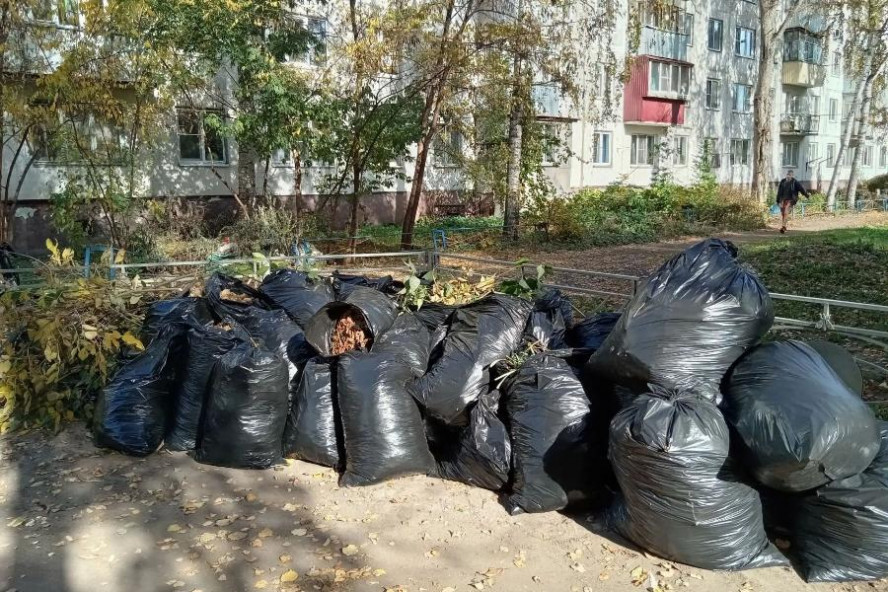 В Тамбове за выходные прошло более 80 субботников