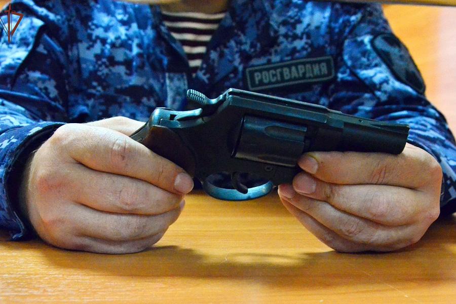 В Тамбовской области за неделю аннулировано восемь разрешений на оружие