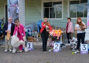 DSCF9059.jpg