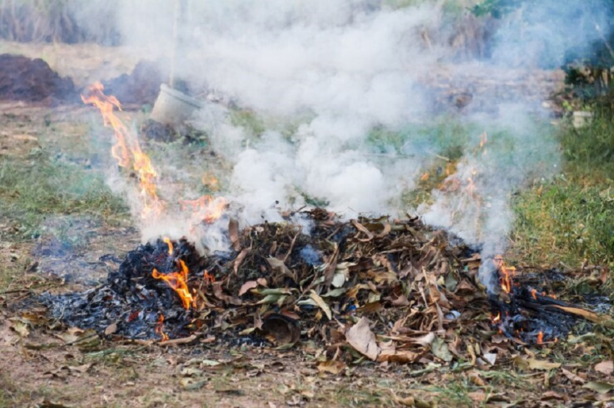 В Тамбове из-за несвоевременной уборки горит мусор
