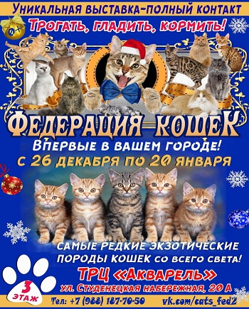 Контактная выставка "Федерация кошек"