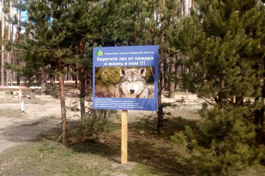 В Тамбовской области закрыли пожароопасный сезон