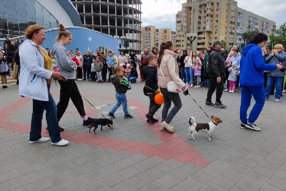 В Тамбове состоялся первый городской фестиваль домашних животных