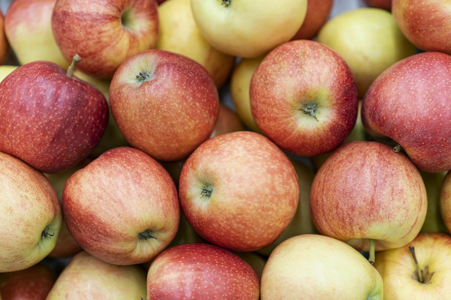 В Первомайском районе с территории сельхозпредприятия украли 55 килограммов яблок