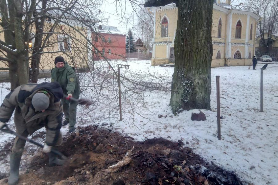 В Санкт-Петербурге при раскопках обнаружили останки расстрелянного в 1942 году тамбовчанина