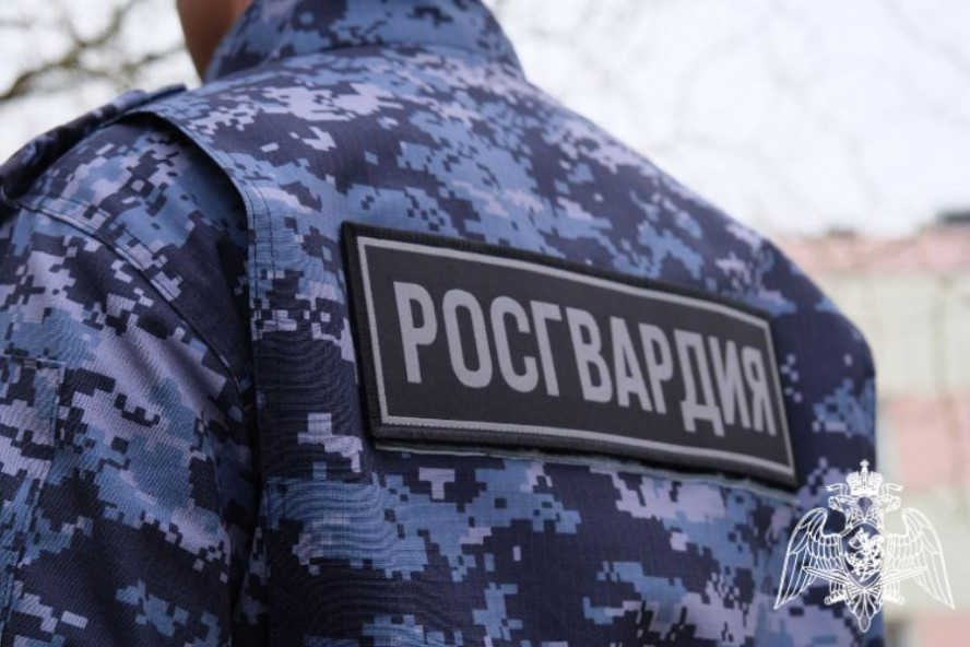 В России создают добровольческие формирования в составе Росгвардии