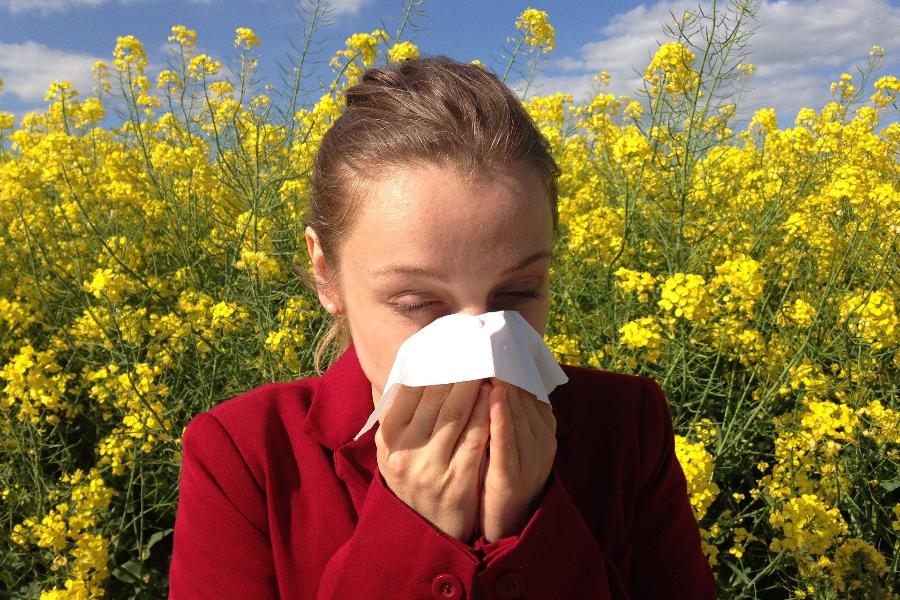 Стало известно, как лечить сезонную аллергию