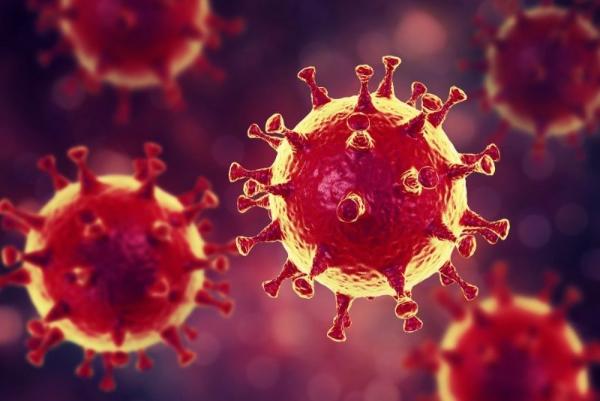 Вирусологи рассказали о мутации, сделавшей коронавирус опаснее 