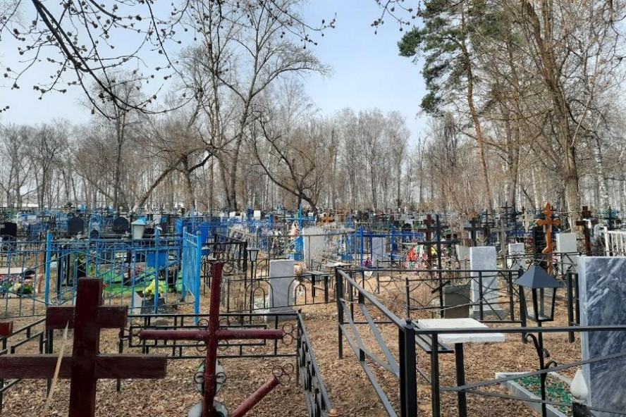 Власти Тамбова ищут подрядчика, который очистит городские кладбища от упавших деревьев
