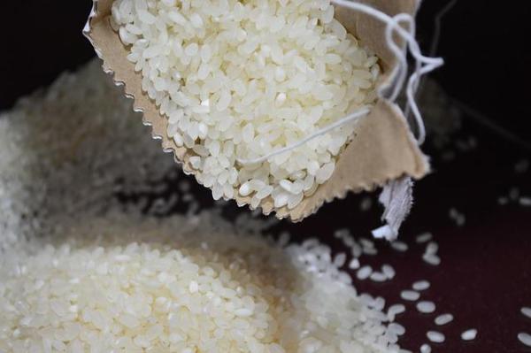 В России с 1 июля могут запретить экспорт риса