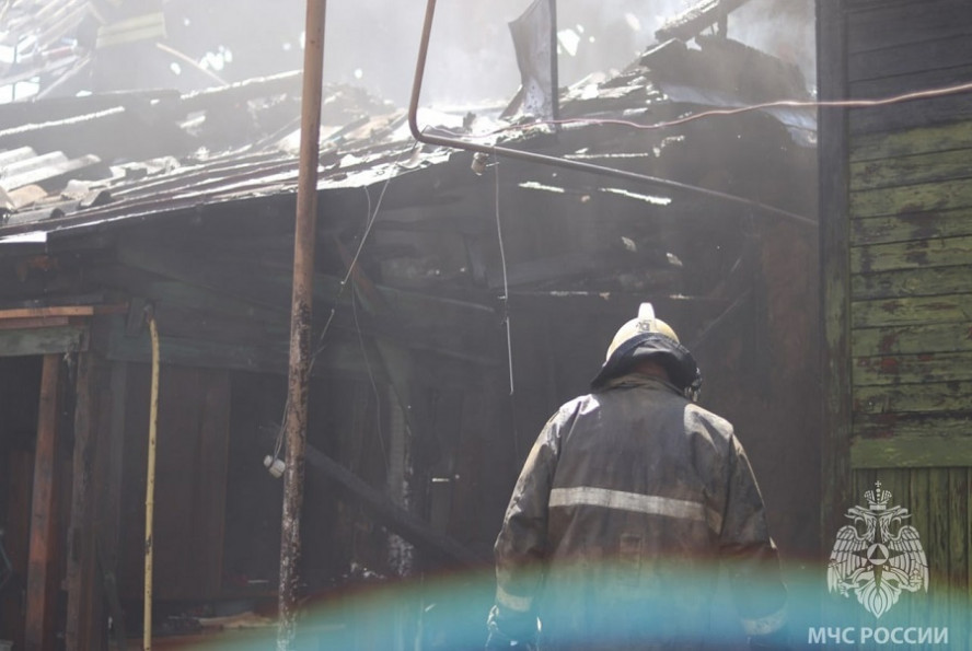 За неделю при пожарах в Тамбовской области погибли два человека