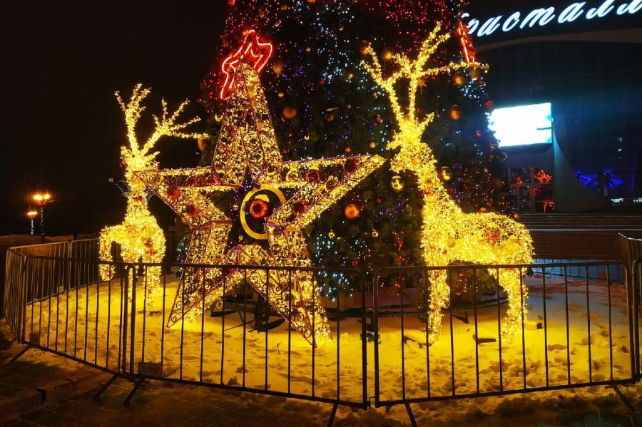 В парках и скверах Тамбова новогодние ёлки установят до 10 декабря