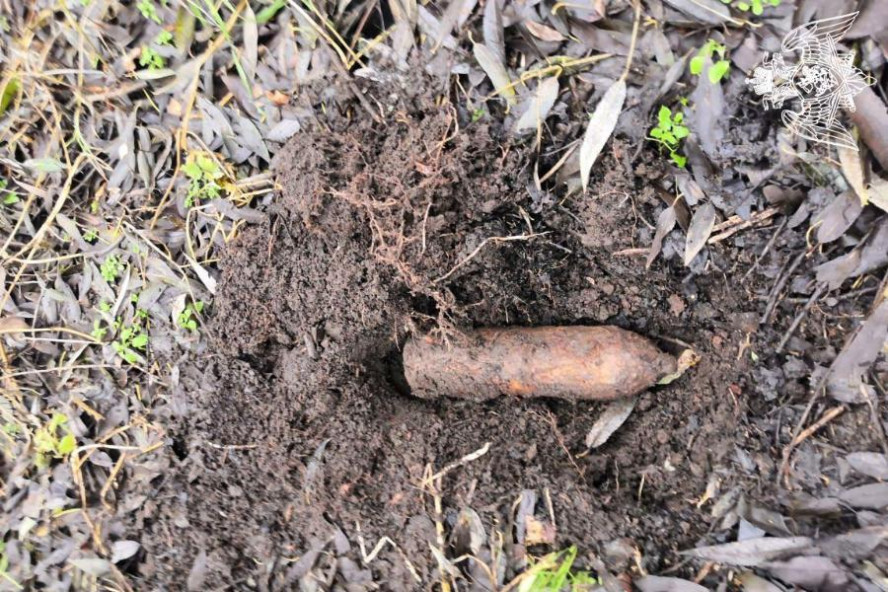 В Мичуринском районе грибник нашёл артиллерийский снаряд