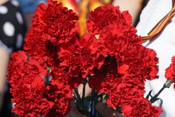 ТГУ запустил онлайн-проект "Марафон памяти" в честь годовщины Победы