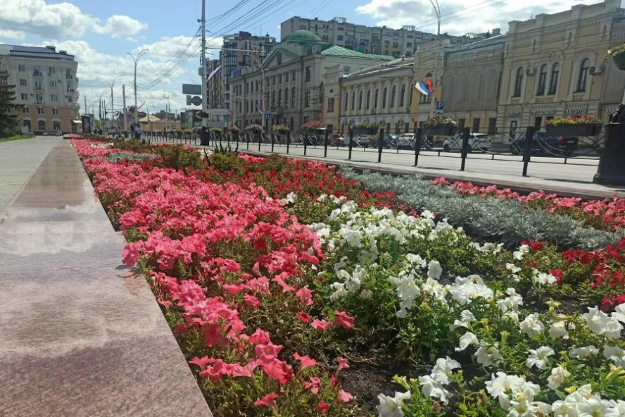 Итоги дня: террористическая атака БПЛА в Тамбовской области, охранные зоны для четырёх памятников архитектуры, рост оборота общепита