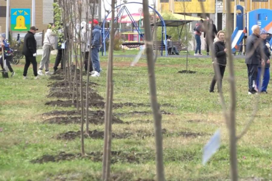 В Олимпийском парке Тамбова появилась спортивная аллея