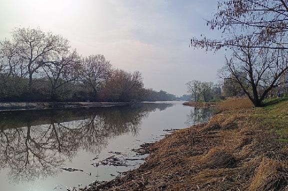 За сутки уровень воды в реках Тамбовской области понизился от 1 до 23 см