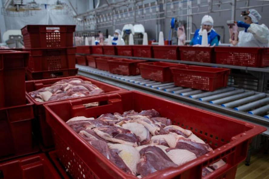 На мясоперерабатывающем предприятии в Тамбовской области выявили нарушения