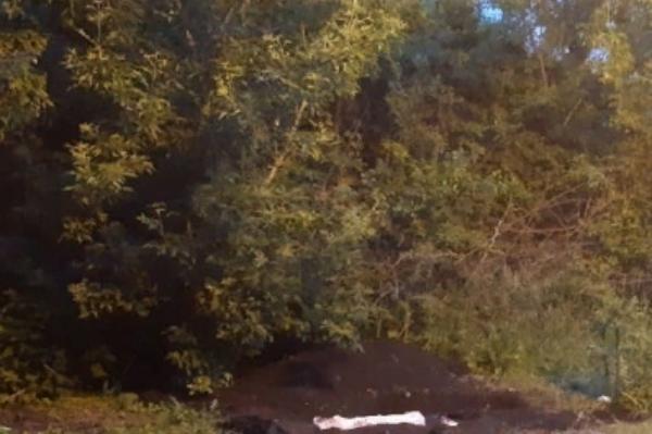 В Жердевском районе найдено тело без вести пропавшего мужчины