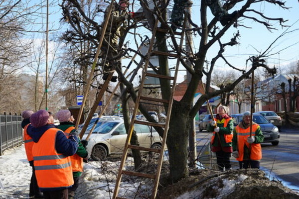 2 марта из-за опиловки деревьев в Тамбове обесточат две улицы