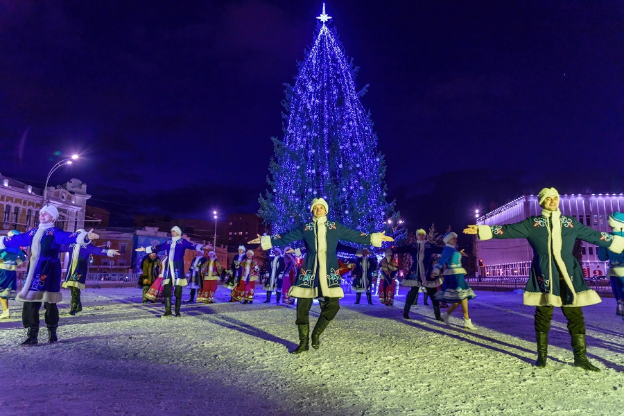 Торжественно открыта главная новогодняя ёлка Тамбовской области