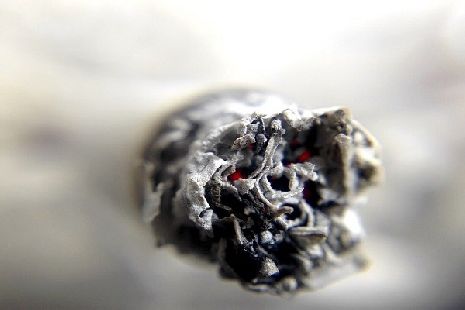 В Тамбовской области изъяли около пятисот пачек контрафактных сигарет