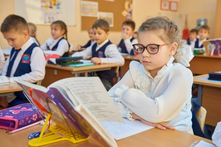 В России появится "золотой стандарт" образования