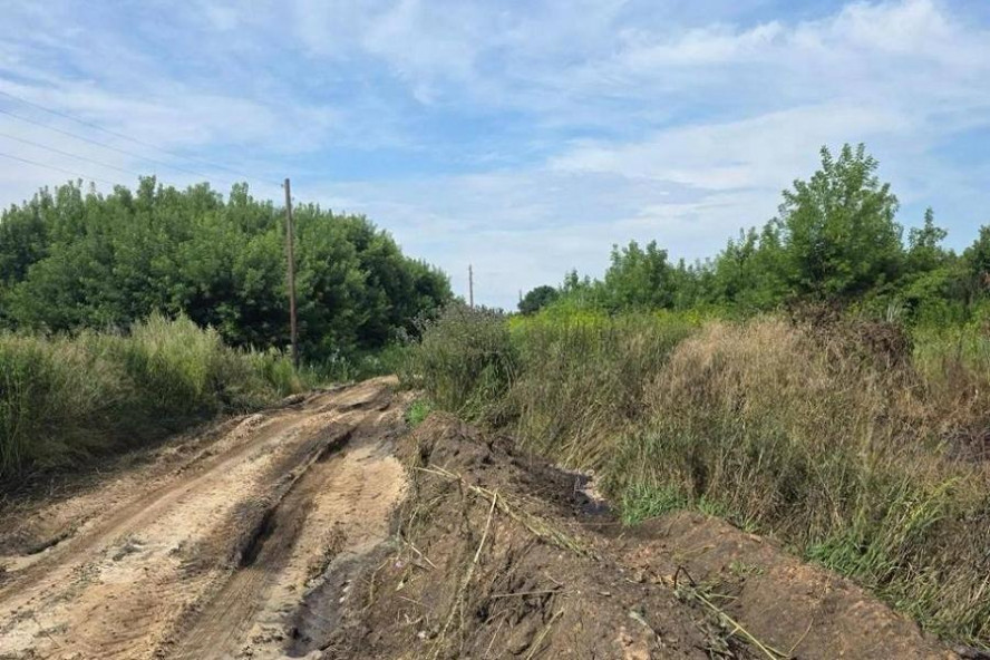В Бондарском округе ферма завалила отходами соседнюю территорию