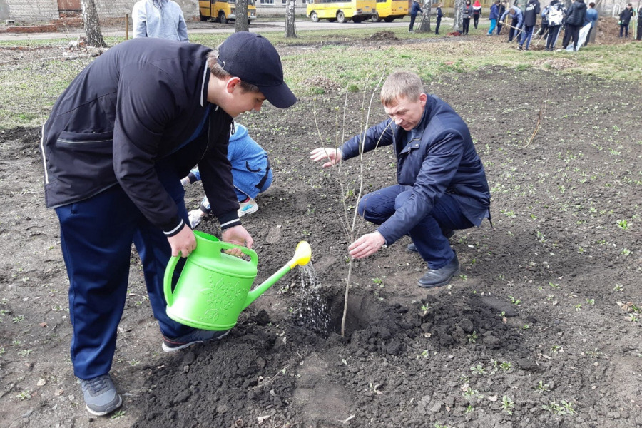 В Тамбовской области высаживают сиреневые аллеи к юбилею Рахманинова
